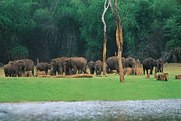 Periyar_Thekkady Thekkady