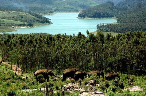 Anayirankal