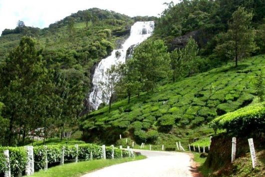Nyayamakad Munnar