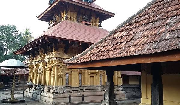 Stone Carvings at Thiruvanchikulam Mahadeva Temple