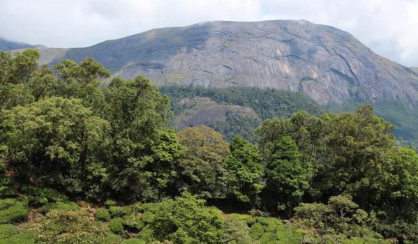 Top 10 Munnar Tourist Places & Sightseeing 53 anamudi