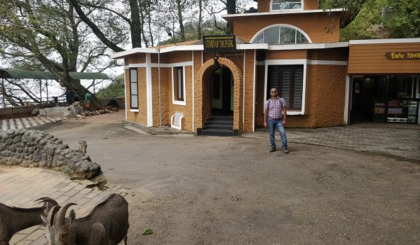 Top 10 Munnar Tourist Places & Sightseeing 48 eravikulam-national-park