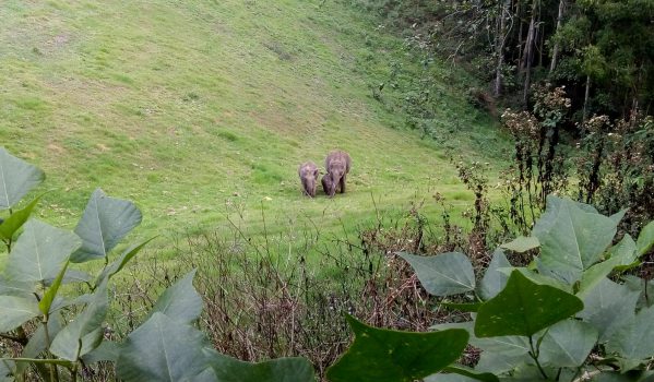 Top 10 Munnar Tourist Places & Sightseeing 47 top-station