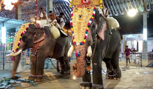 shiveli-during-festival-at-temple
