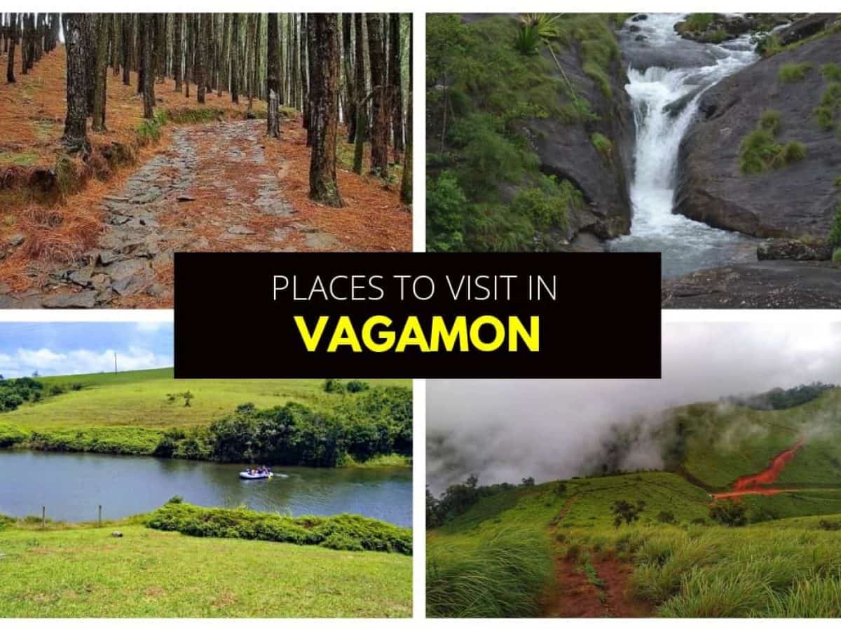 Best Places To Visit In Vagamon Kerala Tourist Places